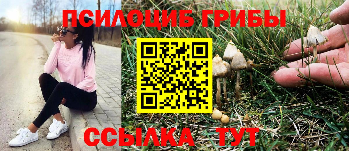 Лысьва  Псилоцибиновые грибы мицелий  Вход с VPN 